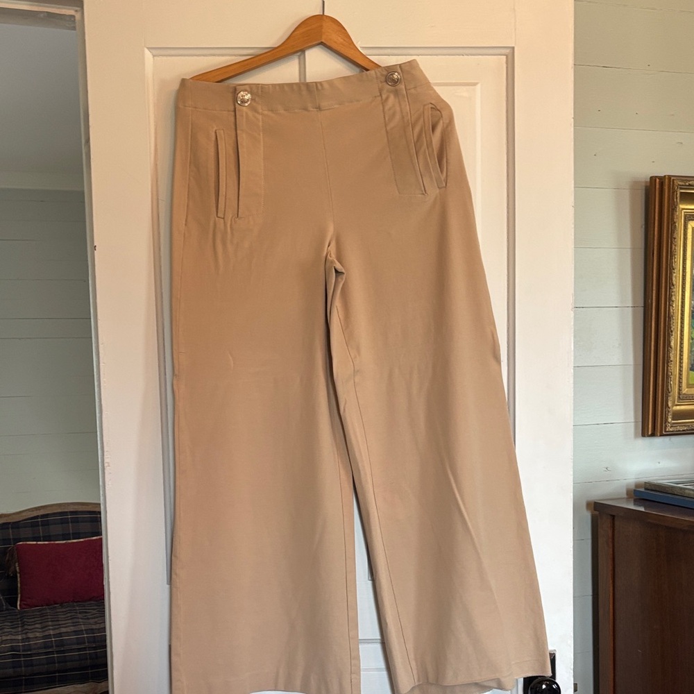 Ann Taylor Tan Wide Leg Pants